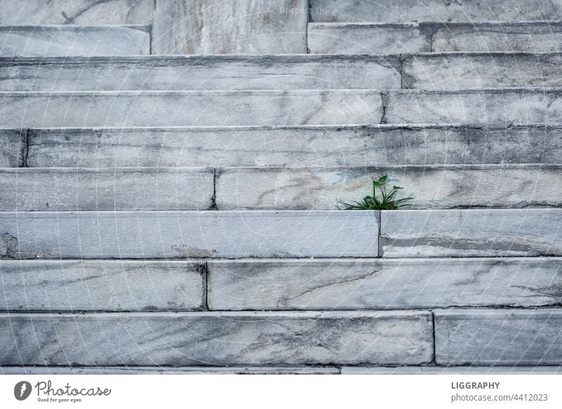 Old stair Stairs staircase Architecture Colour photo Deserted Exterior shot Wall (barrier) Manmade structures Wall (building)