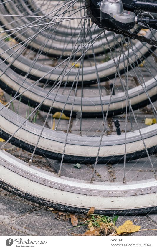 Bicycle tires in a row Tire Spokes Bicycle tyre Wheel Detail Means of transport Close-up Exterior shot Colour photo Deserted Metal Old Wheel rim