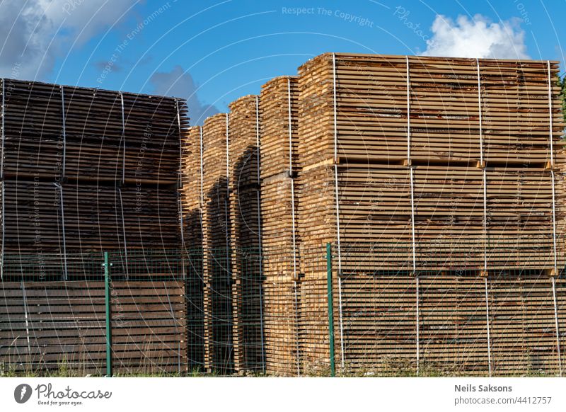 Storage of piles of wooden boards on the sawmill. Boards are stacked in a carpentry shop. Sawing drying and marketing of wood. Pine lumber for furniture production, construction. Lumber Industry