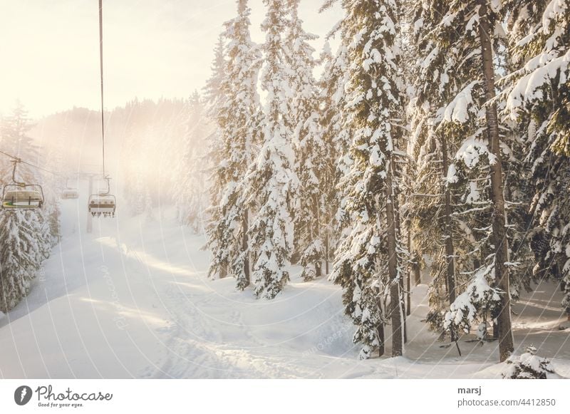 Occupied | Chairlift in winter landscape Chair lift Ski lift Skiing Winter sports Winter vacation Snow Trip Sports Vacation & Travel Mountain Nature Forest