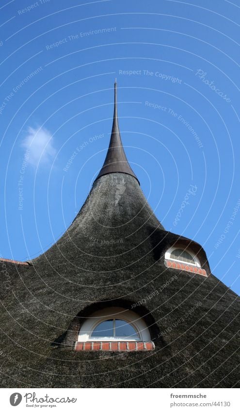 thatched roof Roof Window Pointed roof Reet roof Sky Architecture Blue tapered peaked tapered roof heaven