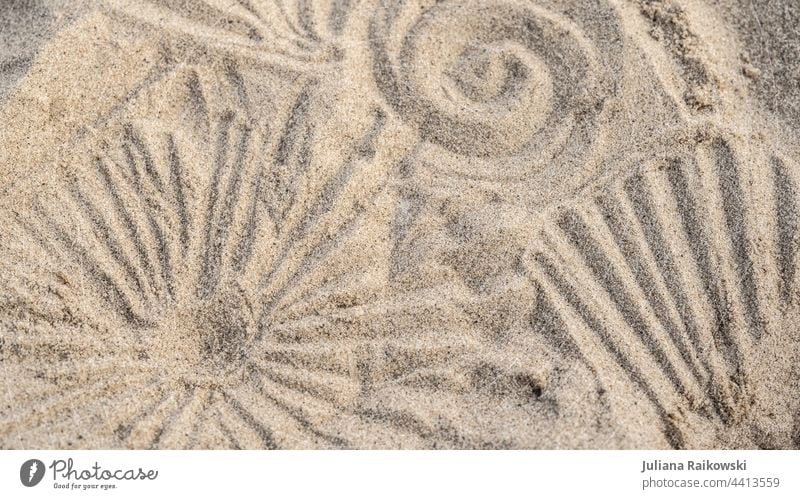 Patterns in the sand Sand Beach Ocean Sun Summer coast background Vacation & Travel Colour photo Deserted whorls Sandy beach texture vacation Summer vacation