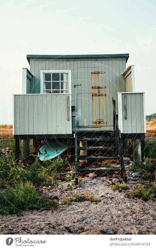 Beach house on the hygge island Ærø in Denmark XI relaxation relax & recuperate" Freedom Summer Exterior shot Baltic Sea Tourism Neutral Background Landscape