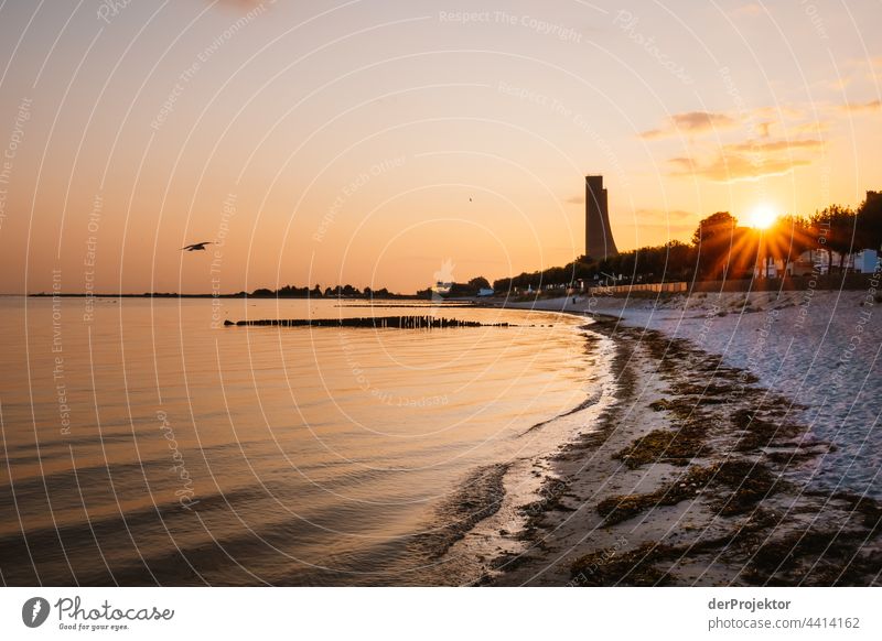 Memorial in Laboe in the morning against the light seashore Landscape Ocean Vacation & Travel Far-off places Trip Bathing place Beach Nature Beautiful weather