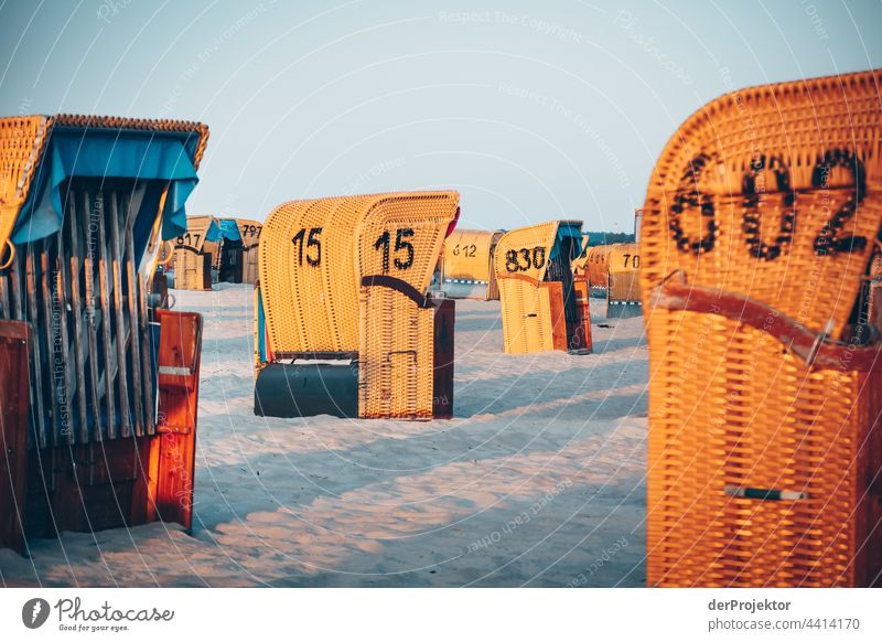 Empty beach chairs in Laboe seashore Landscape Ocean Vacation & Travel Far-off places Trip Bathing place Beach Nature Beautiful weather water loving Swell