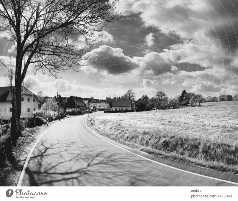 peripheral phenomenon Village road Contemplative Shadow Village idyll Roadside Long shot Power poles Street power cable Traffic infrastructure Tree Window