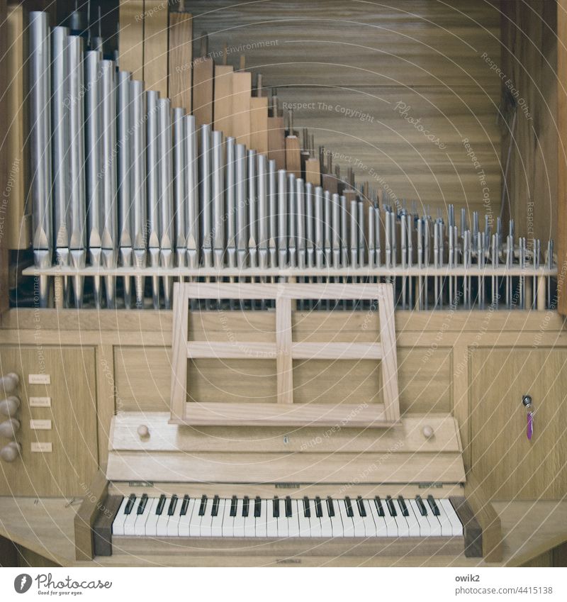 retreat Organ Musical instrument Organ pipe Metal Wood Simple gearshift register Wood grain Church praise of God Sound sound Lettering Village church