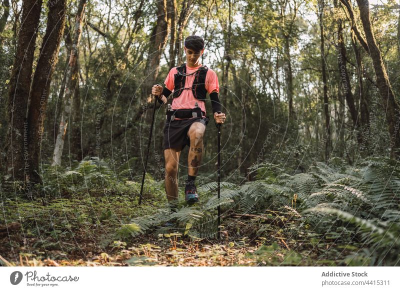 man hiking in woods traveler hike forest trekking pole jungle stair male explore stone step walk staircase upstairs old stairway adventure wanderlust hiker aged