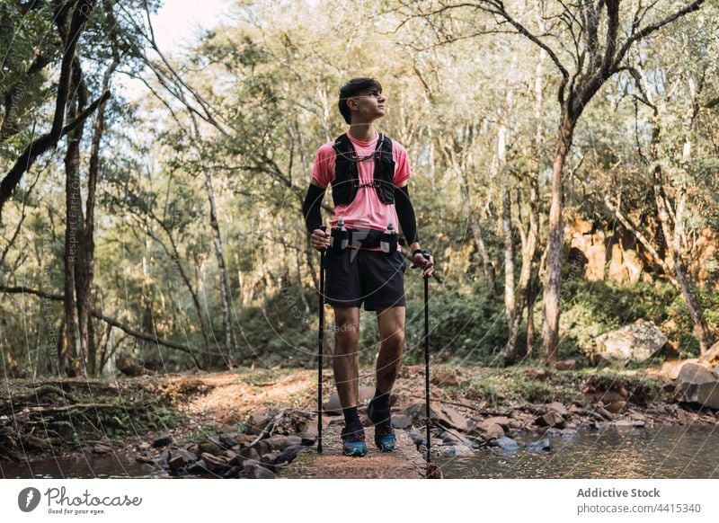 Traveling man hiking in jungle traveler hike tropical forest trekking pole trail male adventure explore hiker woods environment walk nature wanderlust activity