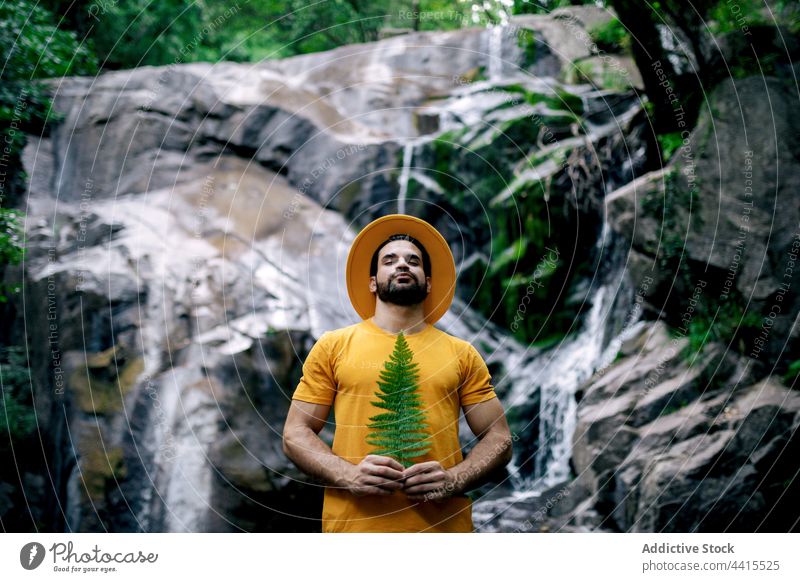 Serene traveler with fern leaf near waterfall man nature enjoy dreamy harmony male serene tranquil environment peaceful calm rock rocky forest woods woodland