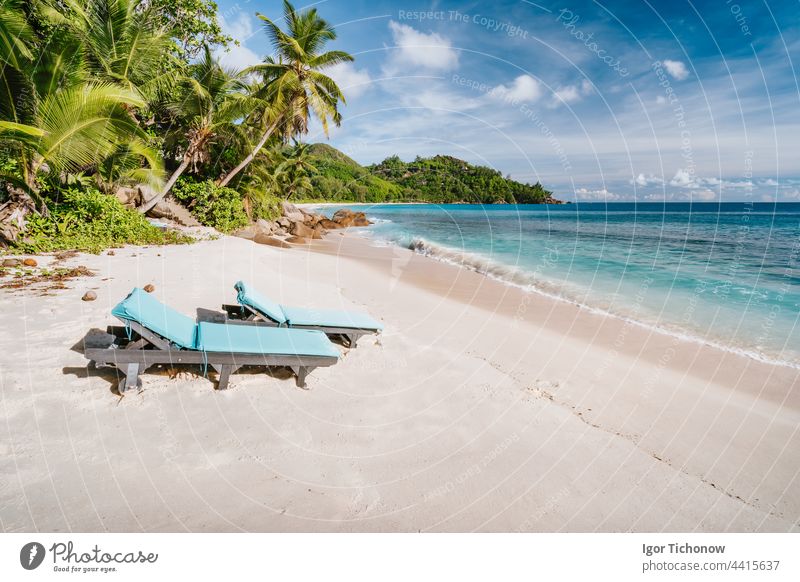 Mahe Island, Seychelles. Holiday vocation on the beautiful exotic Anse intendance tropical beach. Ocean wave rolling towards sandy beach with coconut palm trees