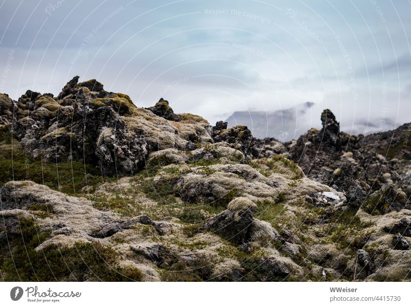 Here once glowing lava rolled over the island, now everything is quiet and cold, the lichens conquer the landscape mountain Volcano Lava Outbreak Eruption