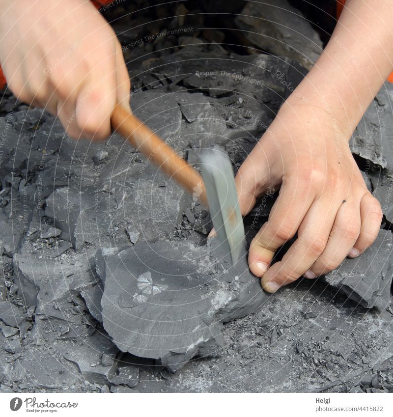 Fossil hunt - hands of a child pounding clay shale stones with a small hammer Hand Children`s hand Hammer Shatter Knock Fingers Stone argillaceous schist