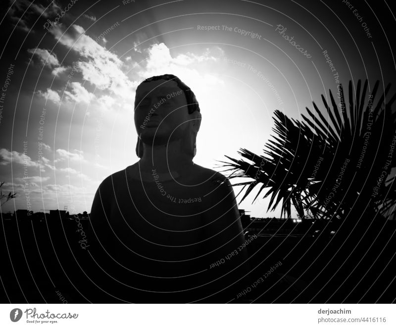 Evening mood on a parking deck restaurant.  A large Buddha figure, backlit by the setting sun, as well as a large fern bush to the right of the figure stands and small clouds in the evening sky that outshine the whole.