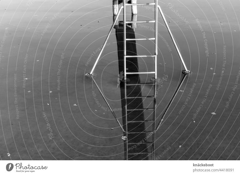 diving tower in the bathing lake Lake Water reflection Reflection in the water Calm Exterior shot Surface of water Idyll Ladder diving platform bathe