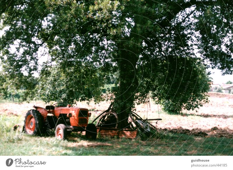 Italy has been stopped What Industry Information Technology better When worse! serious garden than San Salvatore telesino