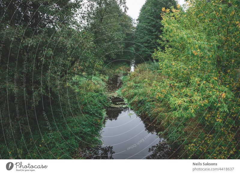 small river in Latvian forest, picture taken from bridge. water overgrown with aquatic flora, Many shades of green and some yellow. Early autumn landscape, cloudy grey sky