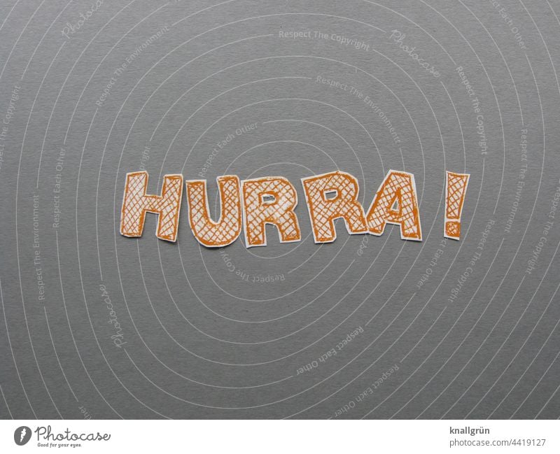 Hooray! Elation Joy Enthusiasm hooray jubilation Joie de vivre (Vitality) Happiness Euphoria Happy Emotions Moody Optimism Contentment Success