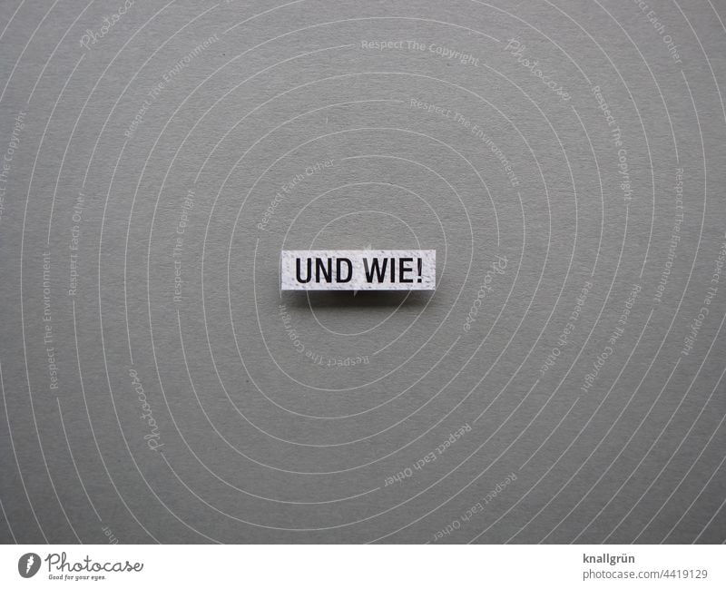 And how! Confirm Approval Confirmation Communicate Colour photo Neutral Background Characters Studio shot Text Typography Letters (alphabet) Deserted Language