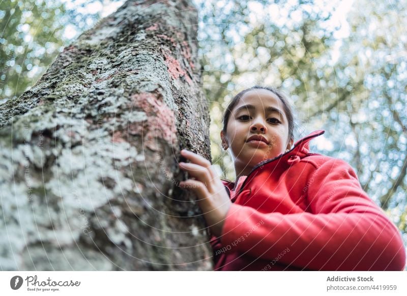 Ethnic girl at old tree trunk in woods bark nature environment ecology preserve forest portrait lichen child conserve protect childhood ethnic rough friendly