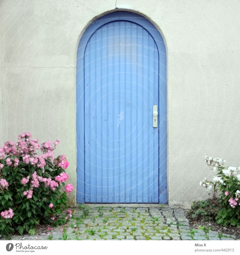 Blue door House (Residential Structure) Wall (barrier) Wall (building) Facade Door Closed Gate Entrance Flower Pot plant Garden path Colour photo Multicoloured