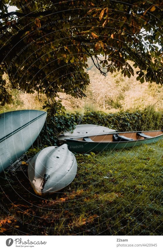 Canadier or boats at the camping site Camping voyage canadian Canadian canoe Nature Green Sun Summer Sunlight Meadow storage Dry Sports free time Aquatics