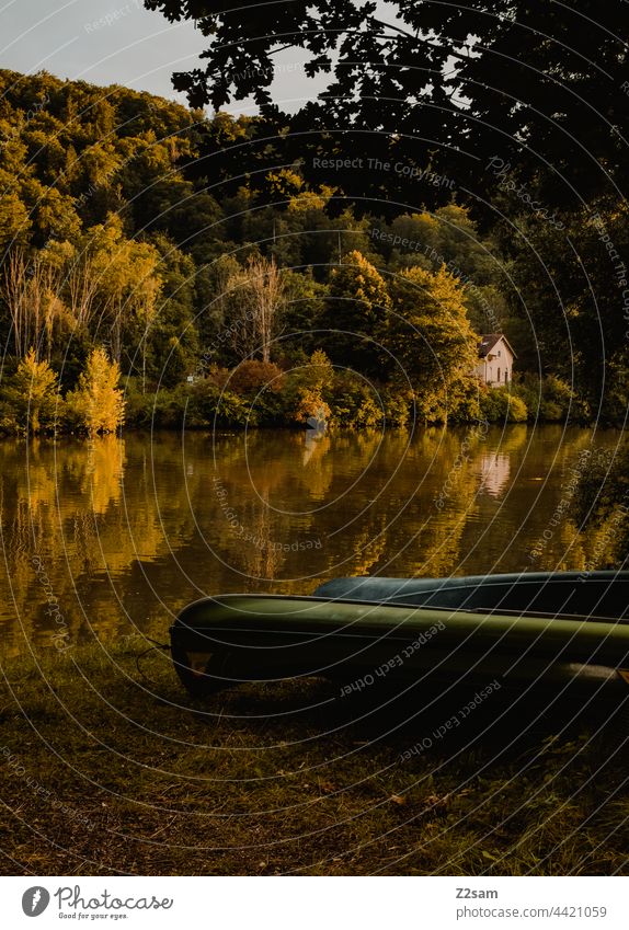 Canadier or boats on the river bank voyage canadian Canadian canoe Nature Green Sun Summer Sunlight Meadow storage Dry Sports free time Aquatics Landscape