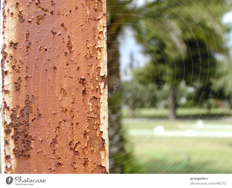 rust Palm tree Green Brown Mini golf Lamp post Floodlight Skeleton Europe Rust Resort Macro (Extreme close-up)