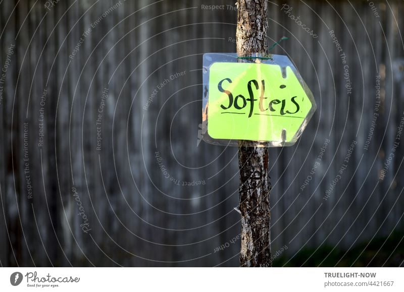 It's tempting. So sweet and soft and delicious. From the confectioner. Soft ice cream Clue Signage Arrow Advertising Temptation sign Green stake Tree trunk