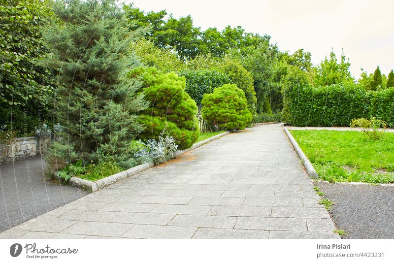 Decorated garden with path in the summer park. background beautiful blooming blossoming bush close up copy day dublin empty europe field footpath forest fresh