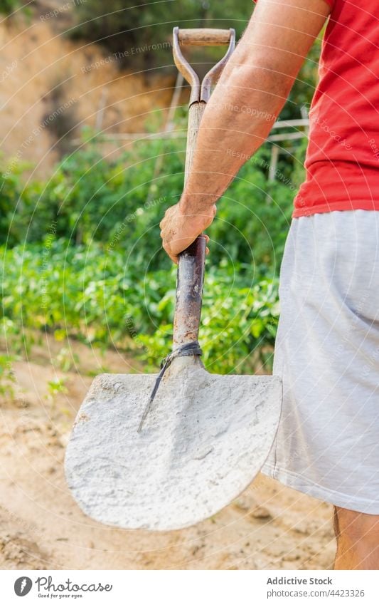 Crop farmer with shovel in garden man tool instrument countryside work rural male agriculture summer natural vegetate growth agronomy field cultivate plantation