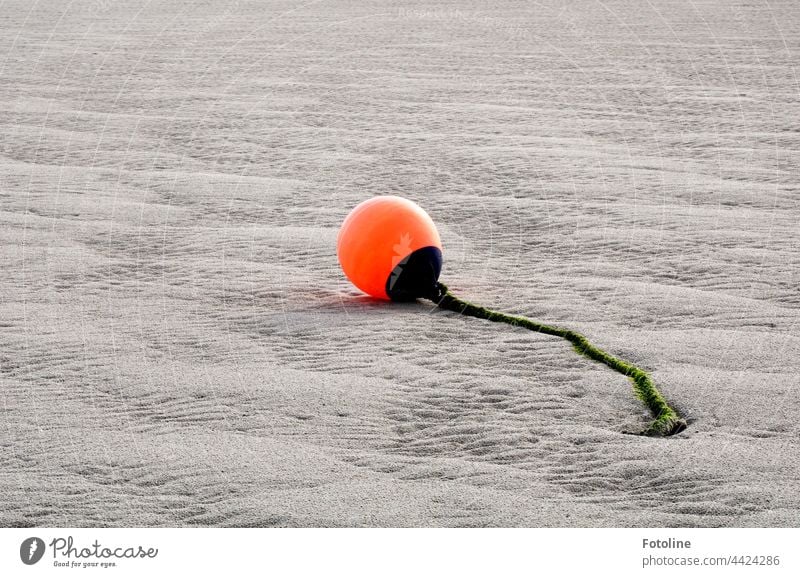 The buoy lies on dry land. The North Sea has disappeared for a few hours. It is low tide. Low tide Tide Sand ebb and flow Mud flats Wet Buoy Gray Orange Black