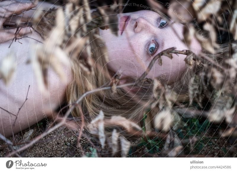 Beautiful sexy lovely young red-haired girl lying under a twig with autumn leaves in the park, with seductive look in blue eyes. lie down portrait woman