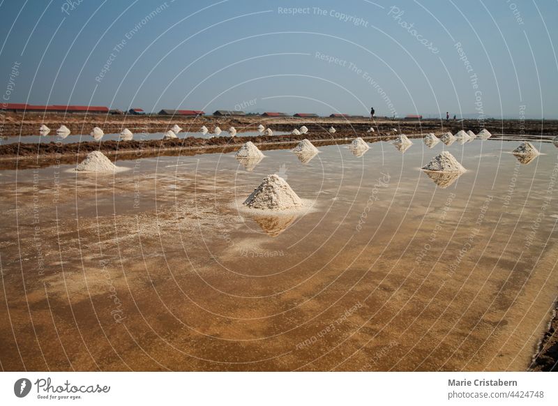 Heaps of organic salt ready to be harvested at the salt farms in Kampot, Cambodia heaps kampot salt farms local livelihood local product agriculture cambodia