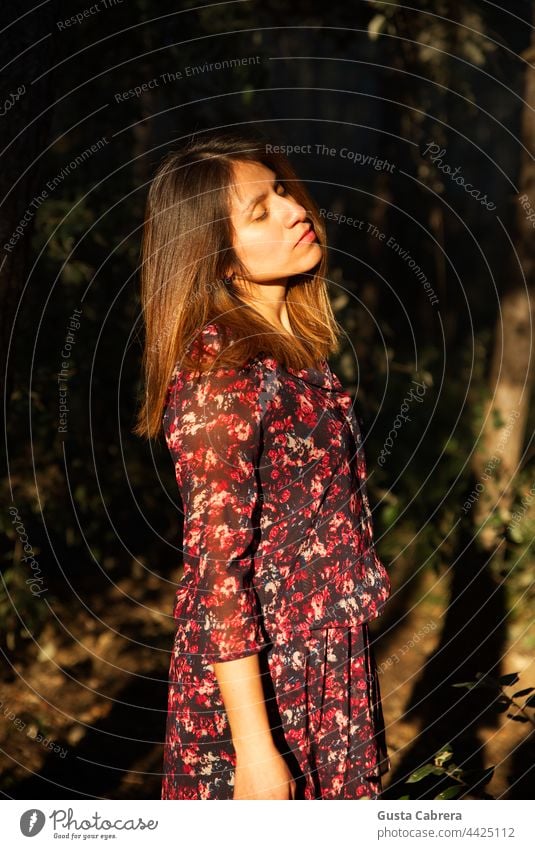 Woman in a state of relaxation, receives sunlight on her face. Relaxation young woman Calm Colour photo outdoors Trees Exterior shot Nature Sunlight female