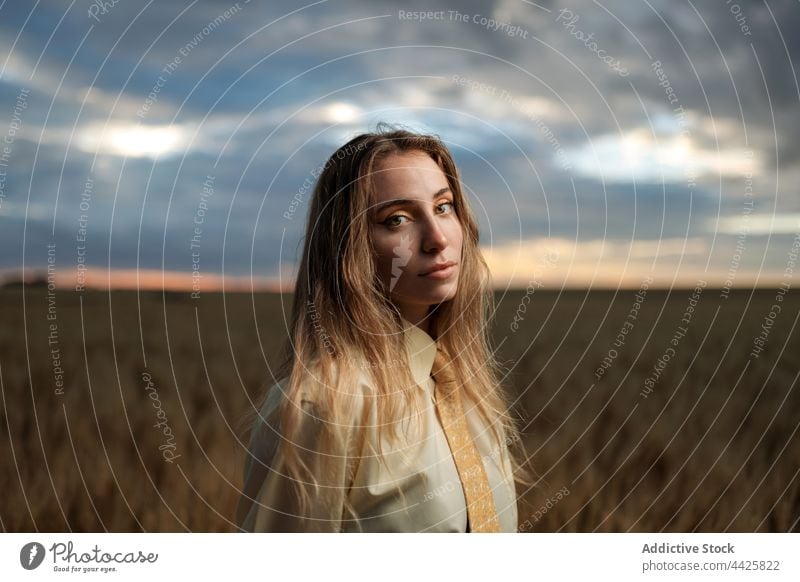 Stylish thoughtful model in wheat field under cloudy sky mindfulness style nature spike woman countryside tie dreamy concentrate atmosphere air vegetate grow