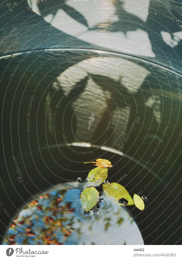 Internal affairs water heater Waterbutt Water reflection Surface of water Beautiful weather Nature Environment Detail Interior shot Sunlight Shadow Colour photo