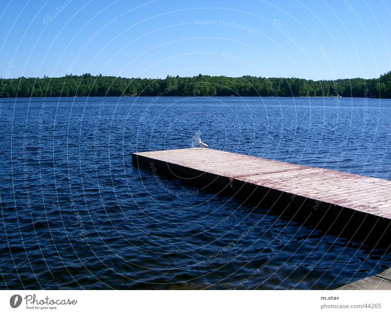 Bridge into the water #1 Footbridge Canada Horizon Relaxation Water Blue Sky