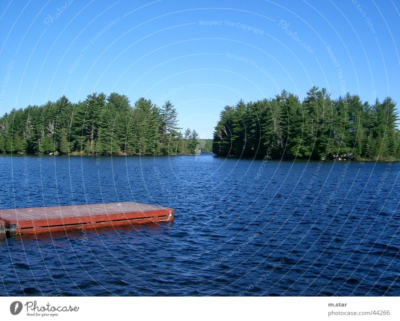 Bridge into the water #2 Footbridge Forest Red Horizon Water Blue red bridge Sky