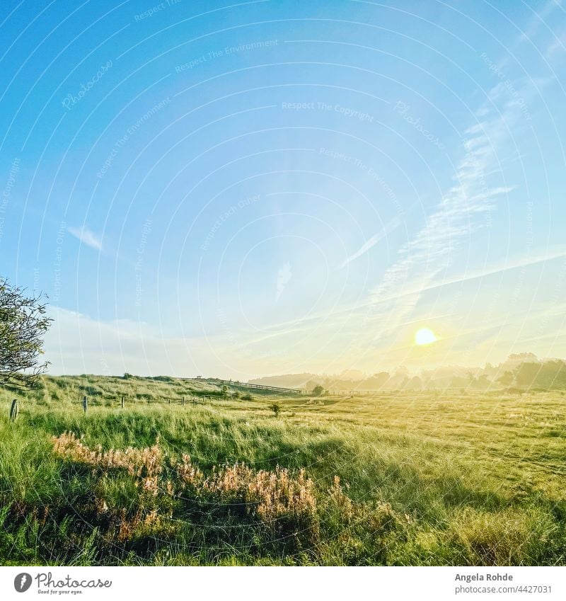 Sunrise over a beautiful landscape near the German Baltic Sea Sunlight Sky Meadow Nature Clouds Grass Landscape Germany Morning Morning fog Fog Shroud of fog