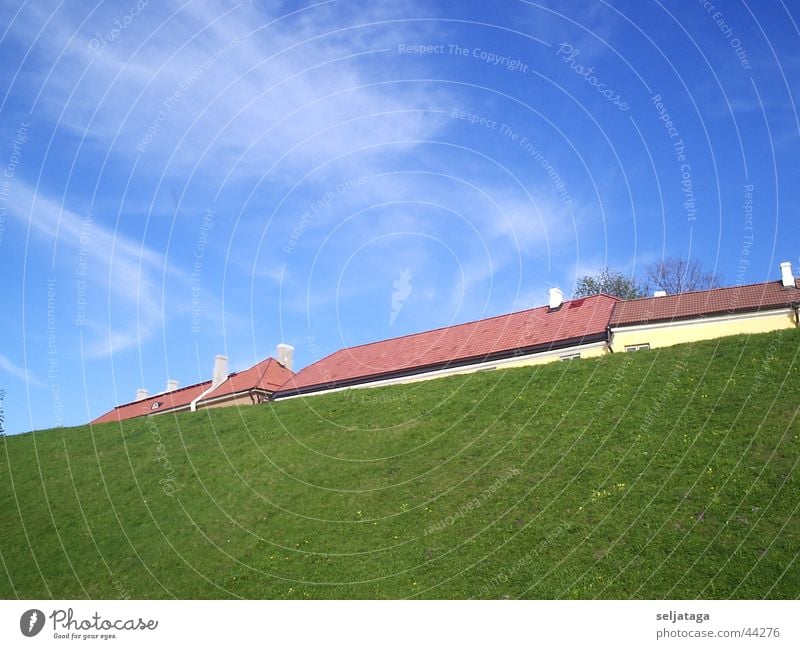 The mountain with the roof Sky grass housetop azure fringe