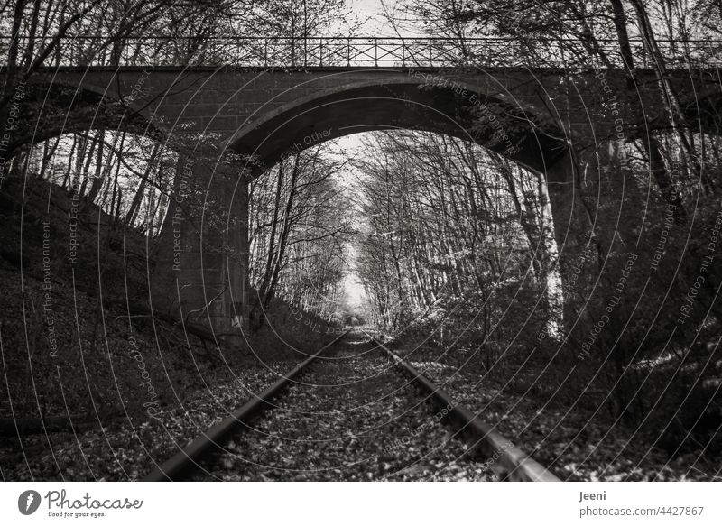 Old railway tracks in the forest Track railway line Railroad system Rail transport rails Railroad tracks Transport Traffic infrastructure Deserted