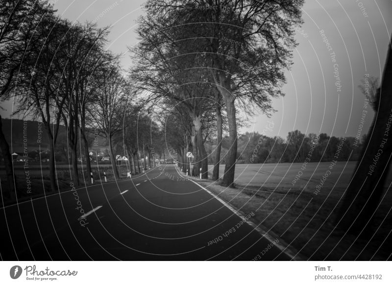 an empty country road Country road b/w Black & white photo Exterior shot B/W Deserted Avenue Loneliness Day