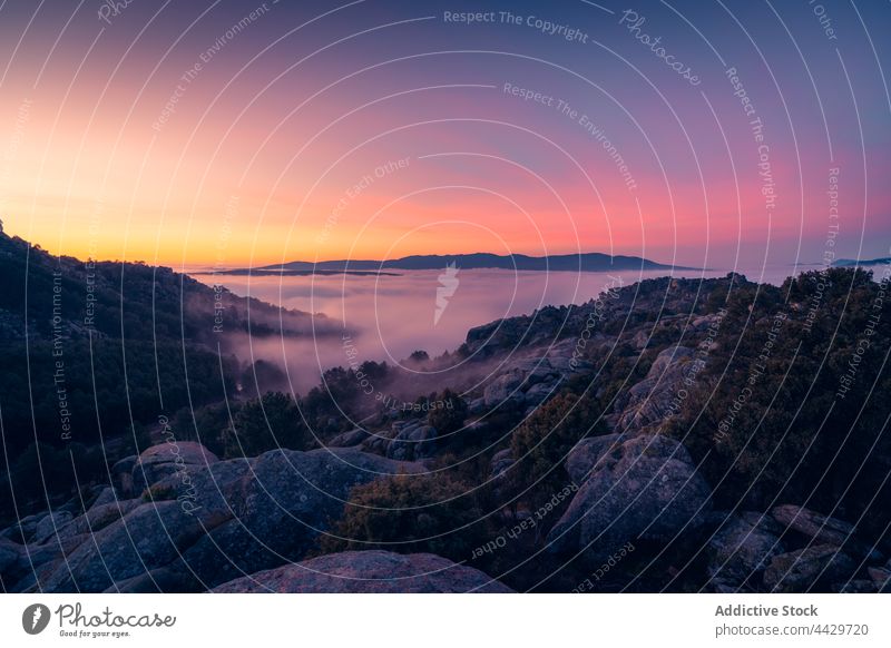 Fog between ridges and boulders at dawn fog mountain range tree sky pedriza nature diffuse air environment ecology landscape mist sunrise vegetate grow spain