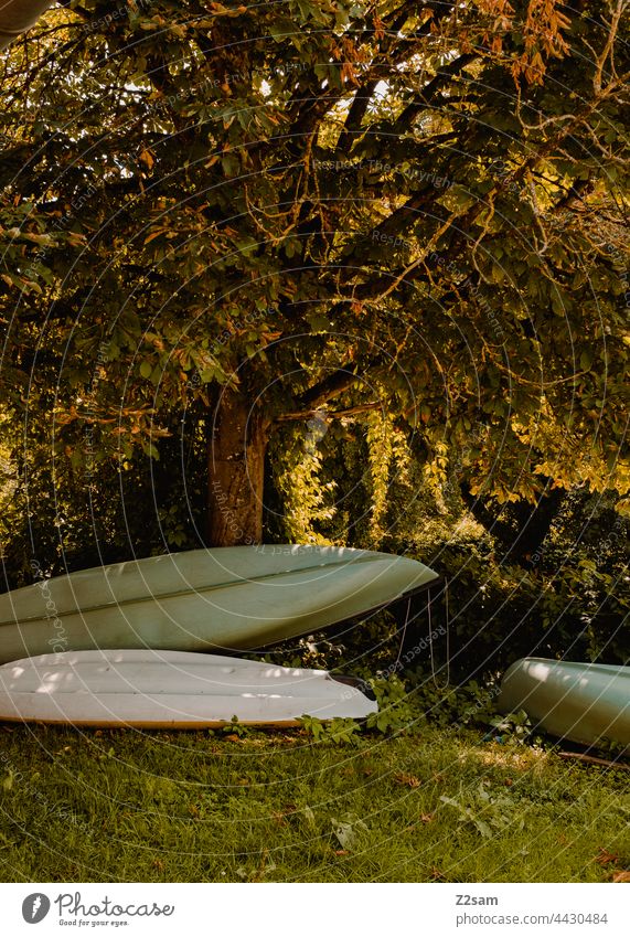 Canadier or boats at the camping site Camping voyage canadian Canadian canoe Nature Green Sun Summer Sunlight Meadow storage Dry Sports free time Aquatics