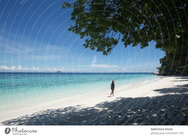 Woman walking on beach woman tourist sea vacation holiday sand tropical trip turquoise travel female water traveler coast swimwear hat straw hat stand ripple