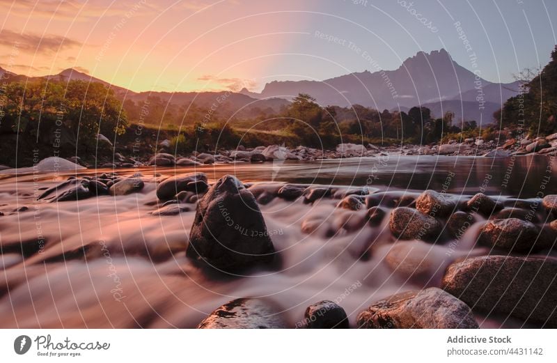 River stream flowing on stones in highland river boulder rock rapid sunset nature landscape motion environment fast scenery picturesque sundown plant valley