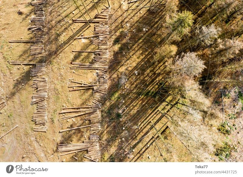 Fallen forest. Forest felled felled forest trees Bark-beetle Climate change from the air Aerial photograph Hot Nature Sun Shadow