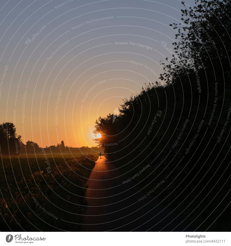 Bicyclist on a dirt road at sunrise Sunrise Morning Sky Nature Exterior shot Freedom Environment Movement Colour photo Dawn in the morning Sunlight Red Black