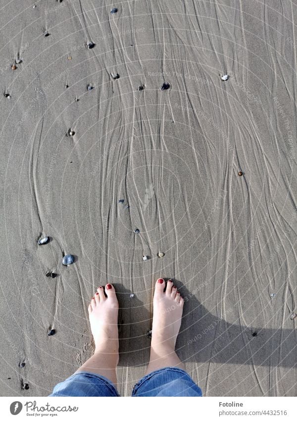 Barefoot treasure hunt on the beach on the dune of Helgoland. Stone Pebble pebble pebbles Tideway Beach Gray Close-up Sand Colour photo Exterior shot Pattern